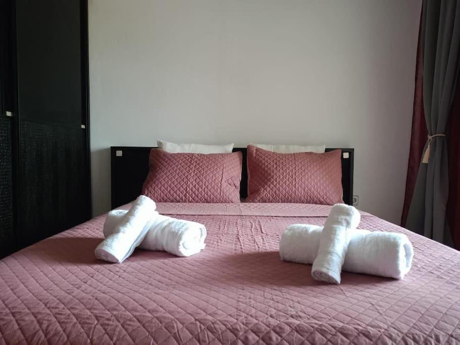 אלכסנדרופולי Layla Home Alexandrpoupolis מראה חיצוני תמונה